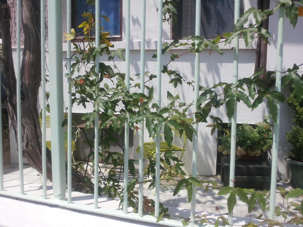 Old House Hostel Burgas ภายนอก รูปภาพ